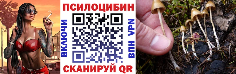 Псилоцибиновые грибы Magic Shrooms  Кимовск 
