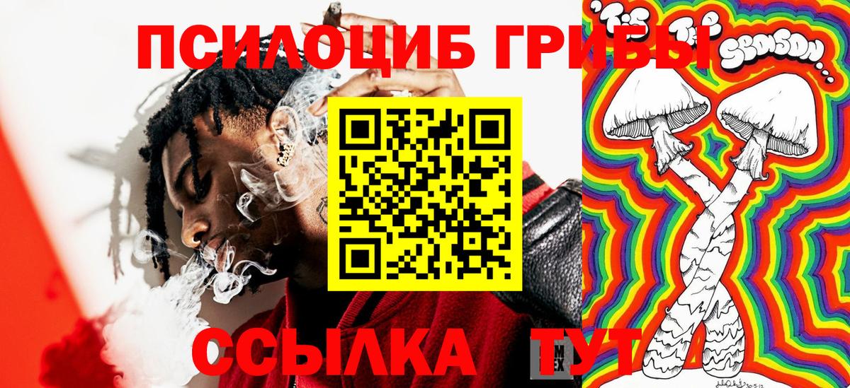 Псилоцибиновые грибы Cubensis  Галлюциногенные грибы Psilocybe  Вход с VPN  Кимовск 
